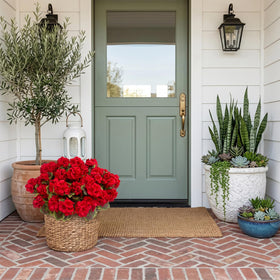 Lovemoon geraniums ready to place in vases for instant decor