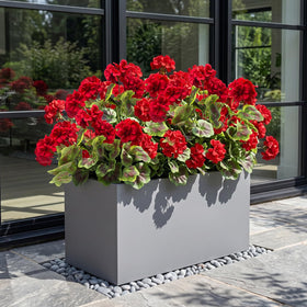 Lovemoon silk geraniums use color-fixed fabric for long-lasting vibrancy