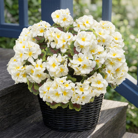 lovemoon outdoor white geraniums 8-pack UV resistant porch decor