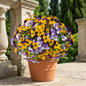 Lovemoon 14.9-inch stems provide full, lush arrangements.