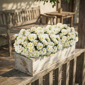 lovemoon patio garden flowers geraniums white UV resistant display