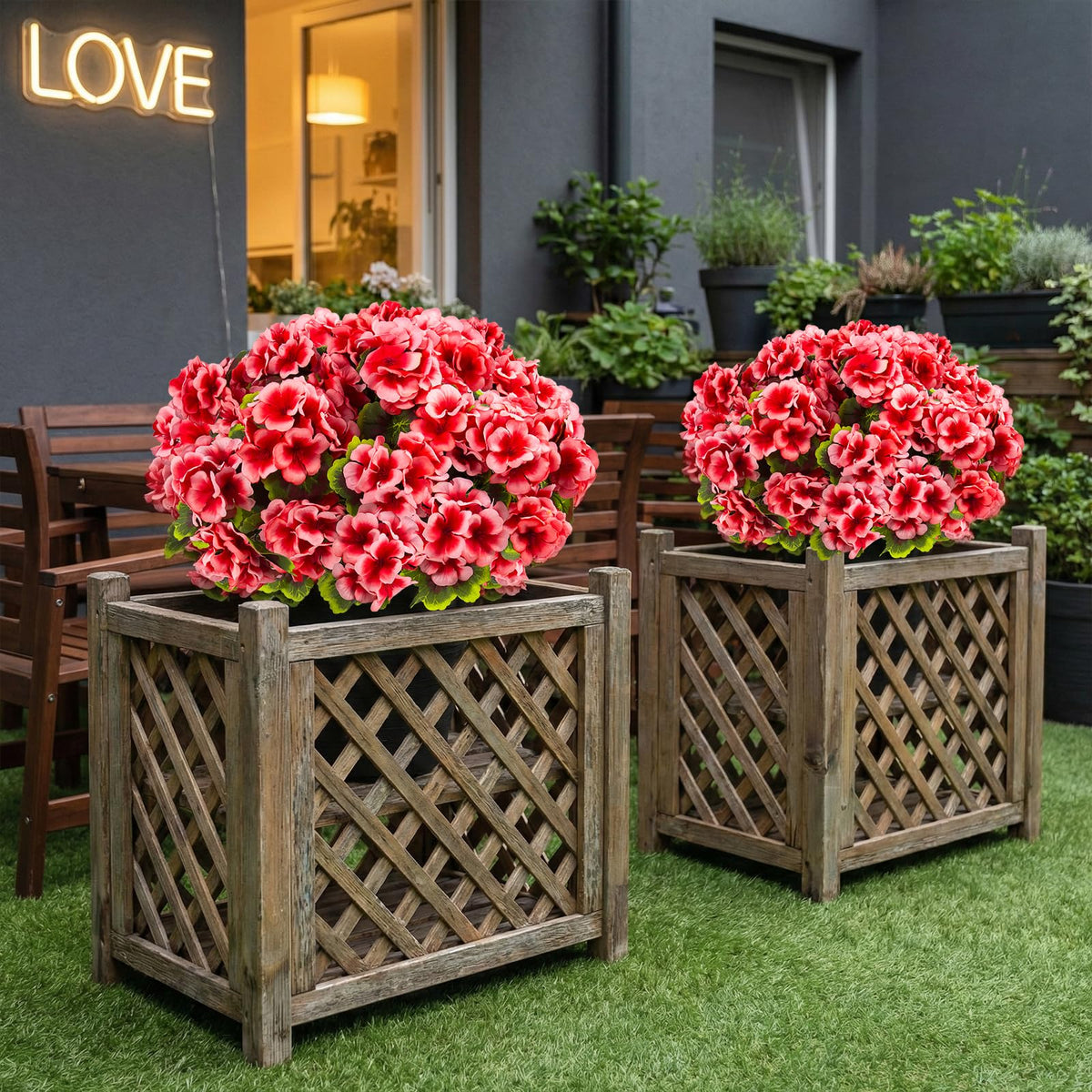 Lovemoon peach geranium bouquet on balcony setup.