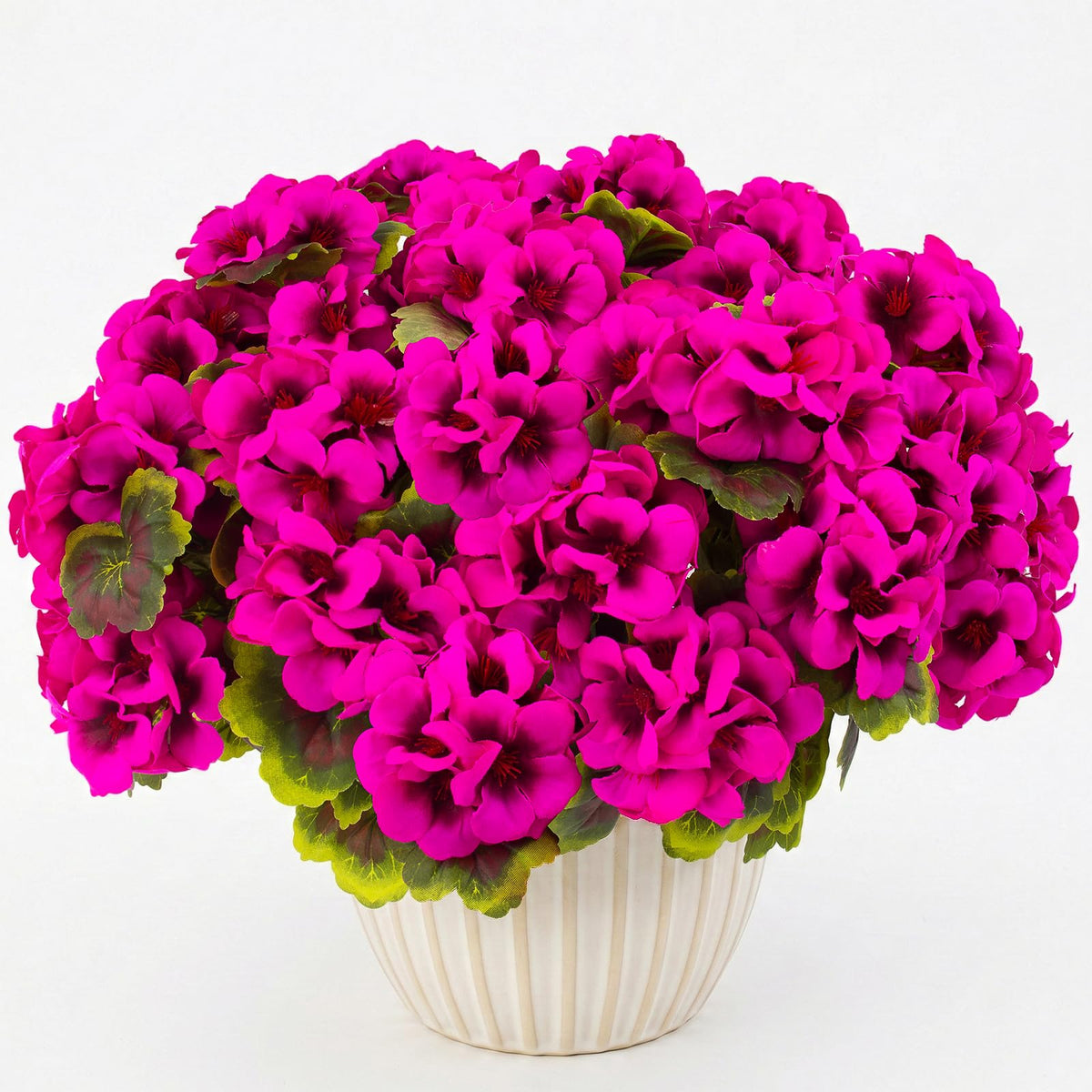 Lovemoon ready-to-use geranium pack for quick DIY decor