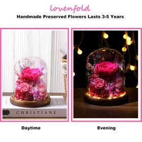 Lovenfold artisan bloom close-up shows preserved petals and texture.