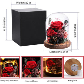 Lovenfold artisan preserved roses with hydrangeas inside a glass dome