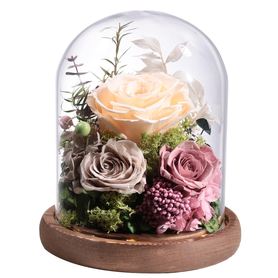 Lovenfold Champagne Rose in glass dome, elegant centerpiece for celebrations.