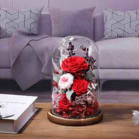 Lovenfold dome packaging layout ready as a gift
