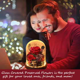 Lovenfold preserved flowers arranged inside glass dome as elegant decor