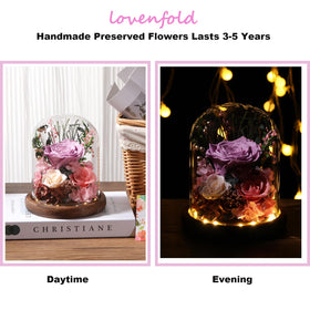 Lovenfold LED-base glass-dome glow enhances nighttime display.
