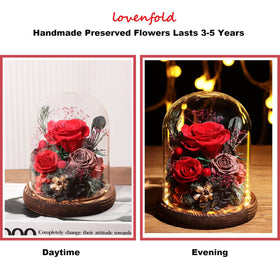 Lovenfold LED-lit dome base creates a romantic night-time display