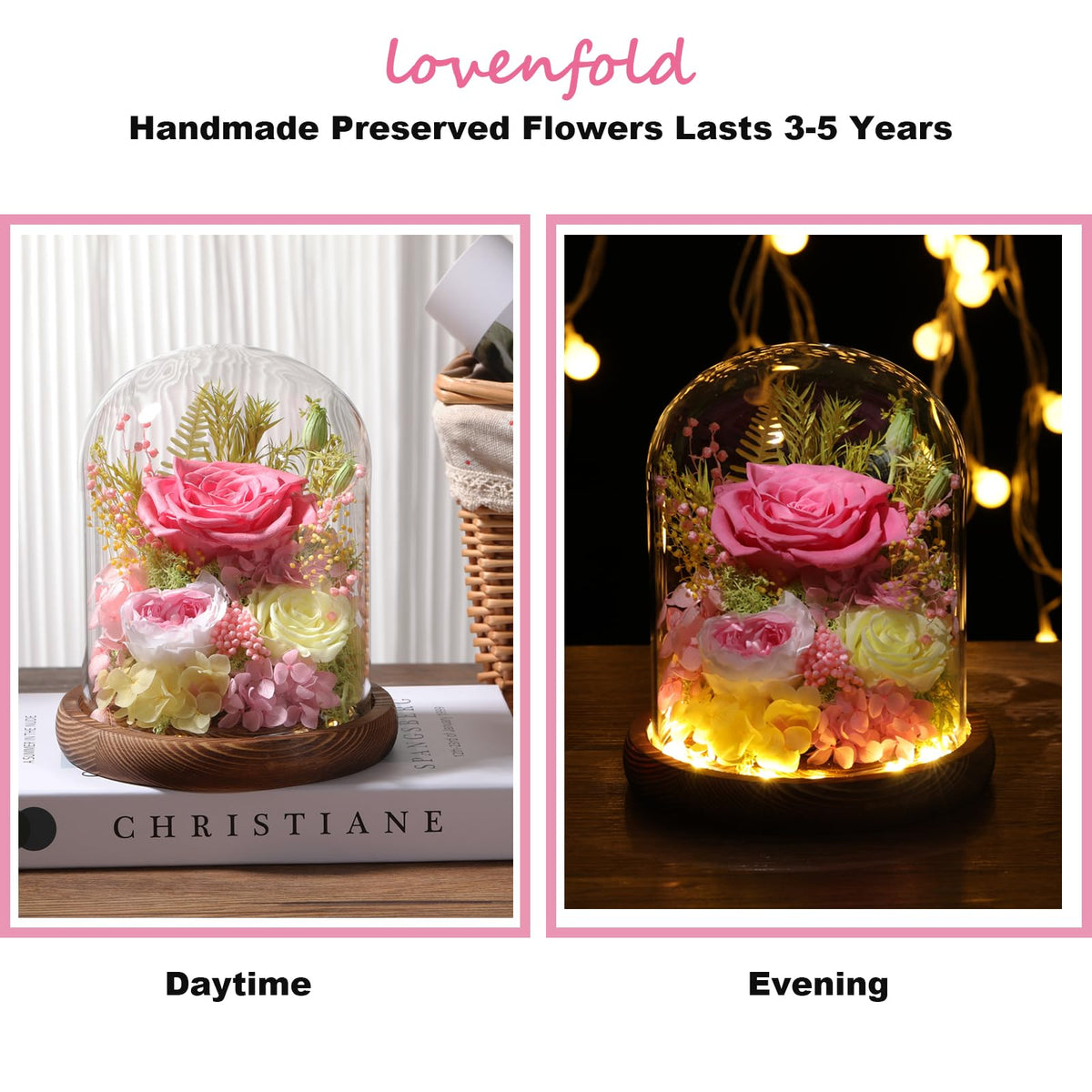 LOVENFOLD pink rose dome display, elegant centerpiece for any room.