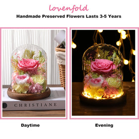LOVENFOLD pink rose dome display, elegant centerpiece for any room.