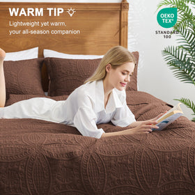 Love's cabin queen bed brown bedspread shows a lightweight coverlet for everyday comfort.