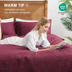 Love's cabin quilt set pillows shams illustrate a complete 3-piece bedding solution.
