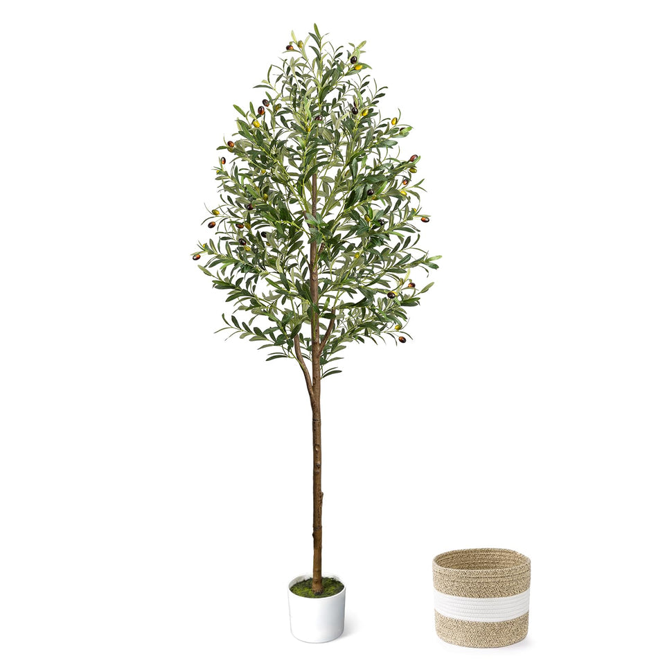 LuceAlberi 6ft artificial olive tree in planter enhances indoor decor.
