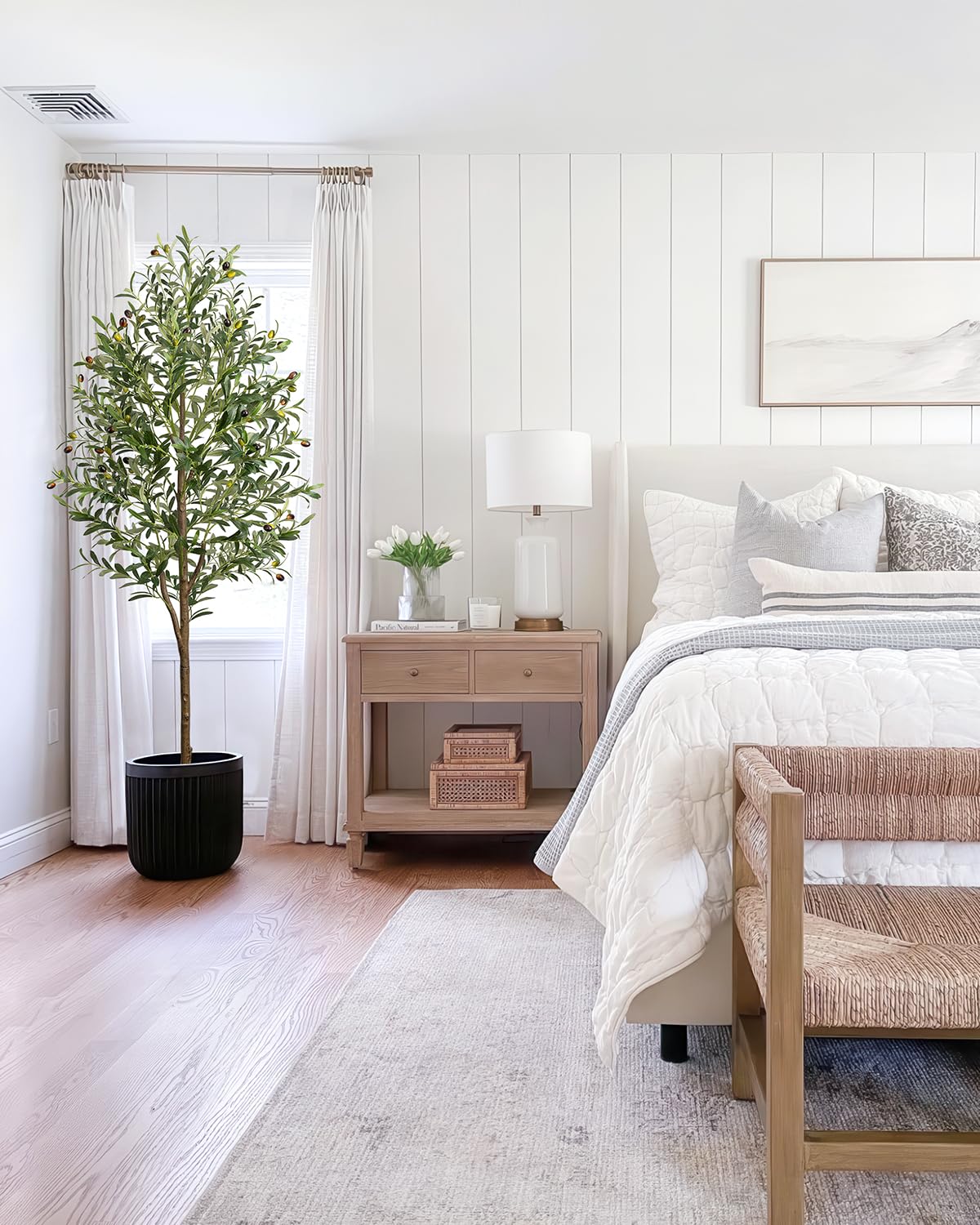 LuceAlberi olive tree decor suitable for living rooms and offices.