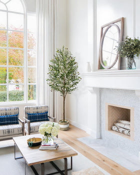 LuceAlberi 6ft olive tree elevates ambience in any space.