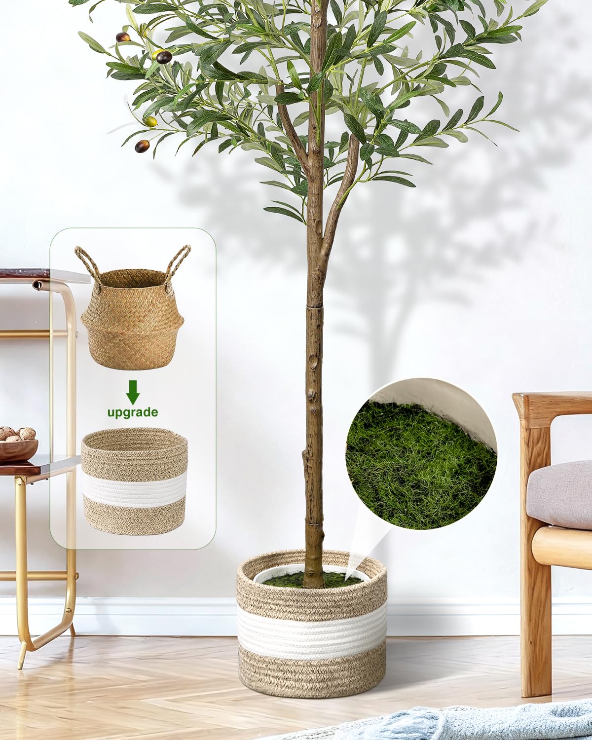 LuceAlberi olive tree in white pot adds Mediterranean flair.