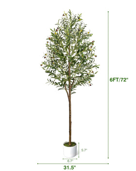 LuceAlberi olive tree in woven basket creates warm entryway charm.