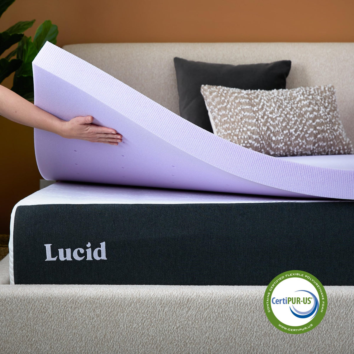 Lucid unrolled and expands, showing simple, mess-free installation.