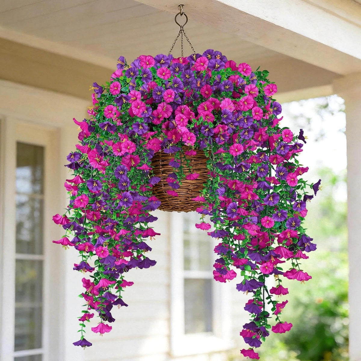 Purple and fuchsia LuckyEra blooms add a vibrant outdoor focal point