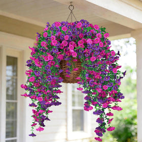 Purple and fuchsia LuckyEra blooms add a vibrant outdoor focal point