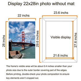 Luckylife 22x28 frame front-view black showcases photos with a professional touch.