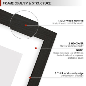 LUGHFSV 28x40 frame with plexiglass protection for photos