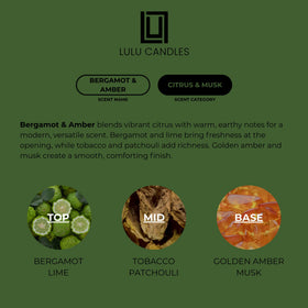 Lulu Candles cotton wick image highlights even burn and minimal soot.
