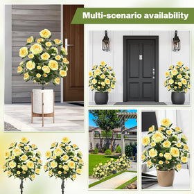 Lunmon maintenance-free Camellia blooms stay vibrant