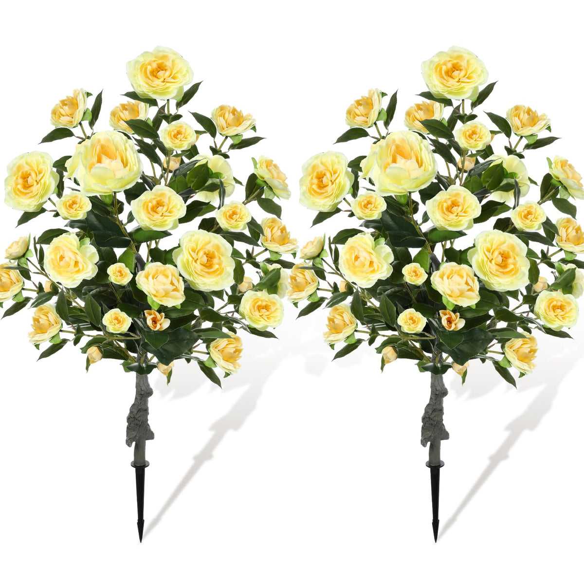 Lunmon two 3ft Camellia trees in planters for versatile outdoor decor