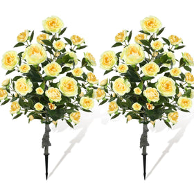 Lunmon two 3ft Camellia trees in planters for versatile outdoor decor