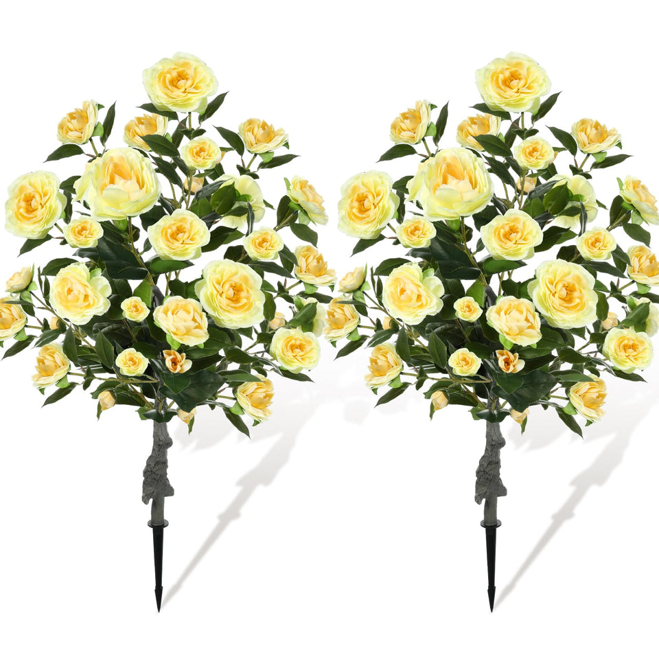 Lunmon two 3ft Camellia trees in planters for versatile outdoor decor