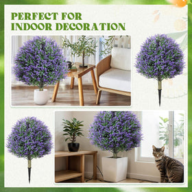 Lunmon topiary placed in pot or yard for year-round appeal.