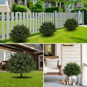 LUWENER cedar topiary requires minimal maintenance and stays vibrant.