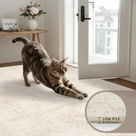 Luxturiy machine-washable area rug for easy refresh.