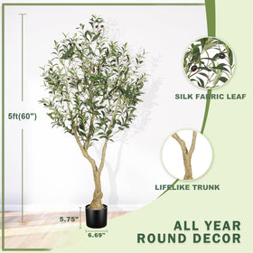 LYERSE Olive Tree 5ft assembly guide ensures effortless setup.