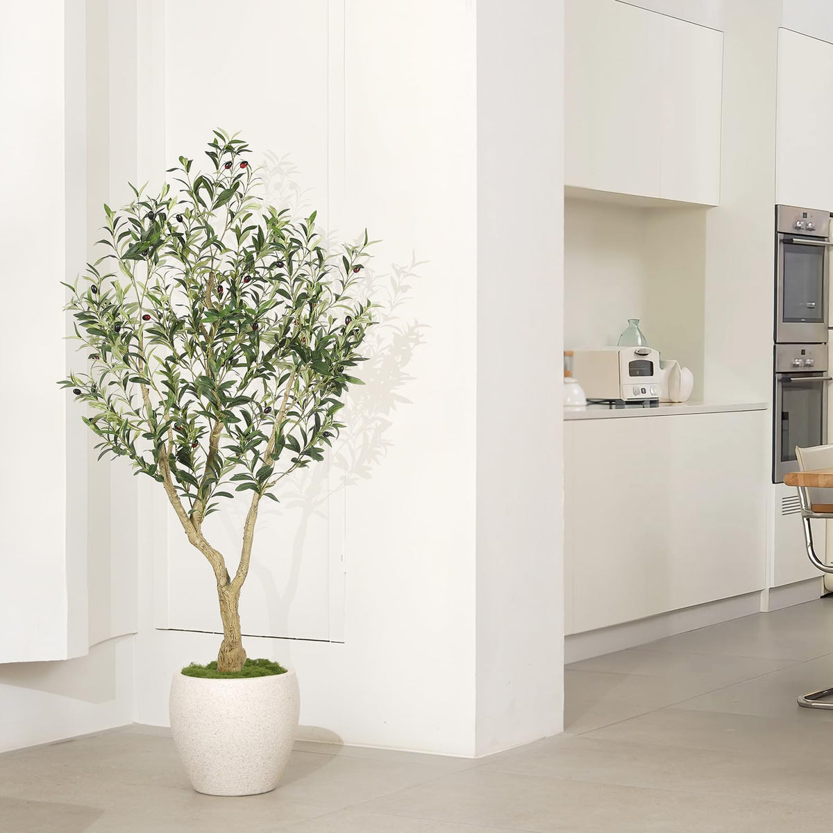 LYERSE Olive Tree 5ft black nursery pot provides a stable base.