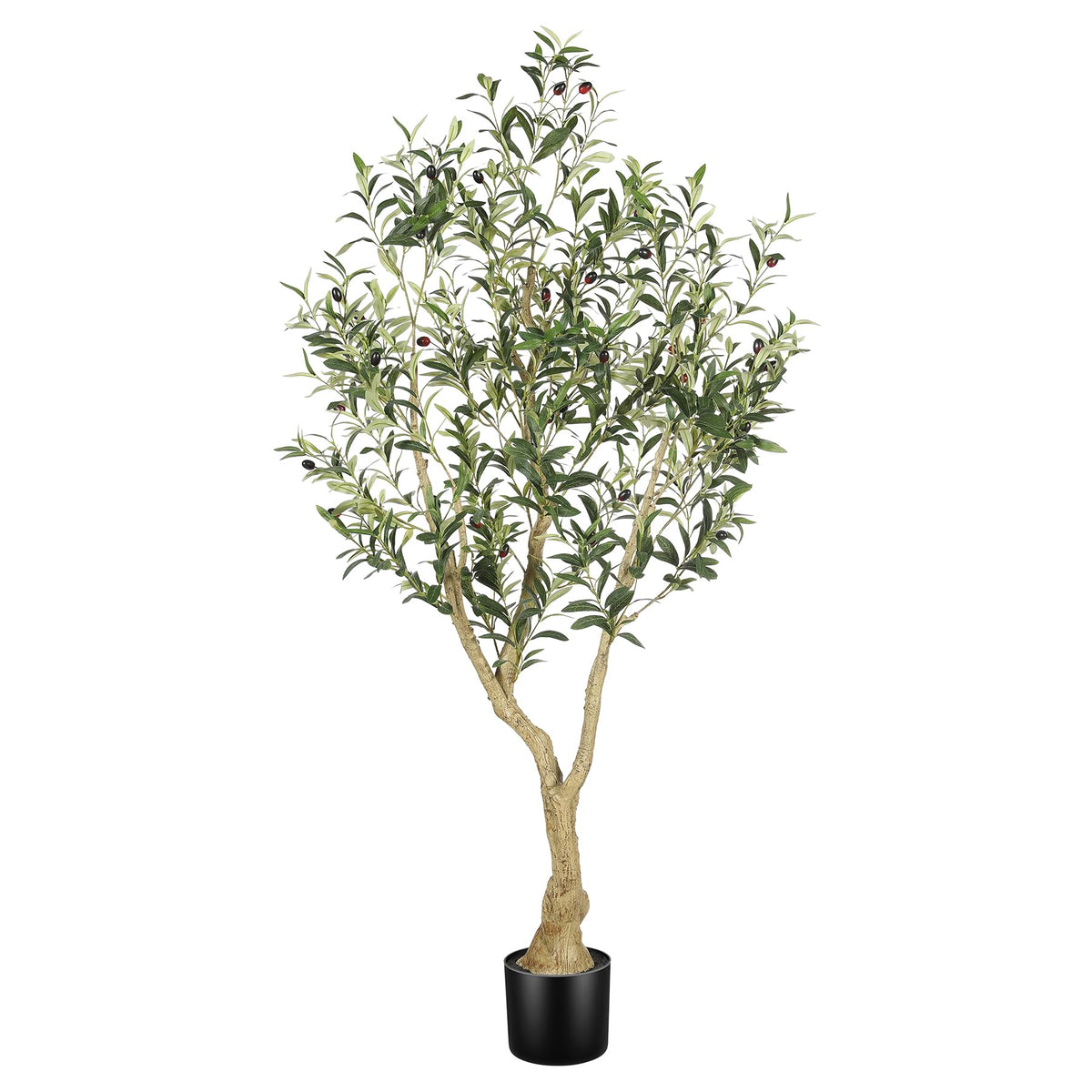 LYERSE Olive Tree 5ft trunk and branches create a natural indoor focal point.