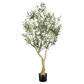 LYERSE Olive Tree 5ft trunk and branches create a natural indoor focal point.