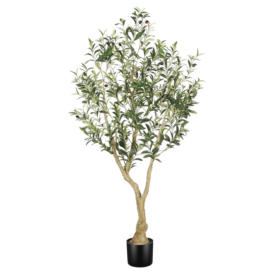 LYERSE Olive Tree 5ft trunk and branches create a natural indoor focal point.