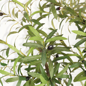 LYERSE 7ft olive tree with dense foliage closeup adds lush room ambience.