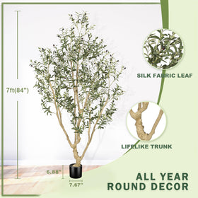 LYERSE olive tree base in rigid PP pot ensures stable, safe placement.