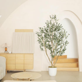 LYERSE display creates a calming focal point with low maintenance.