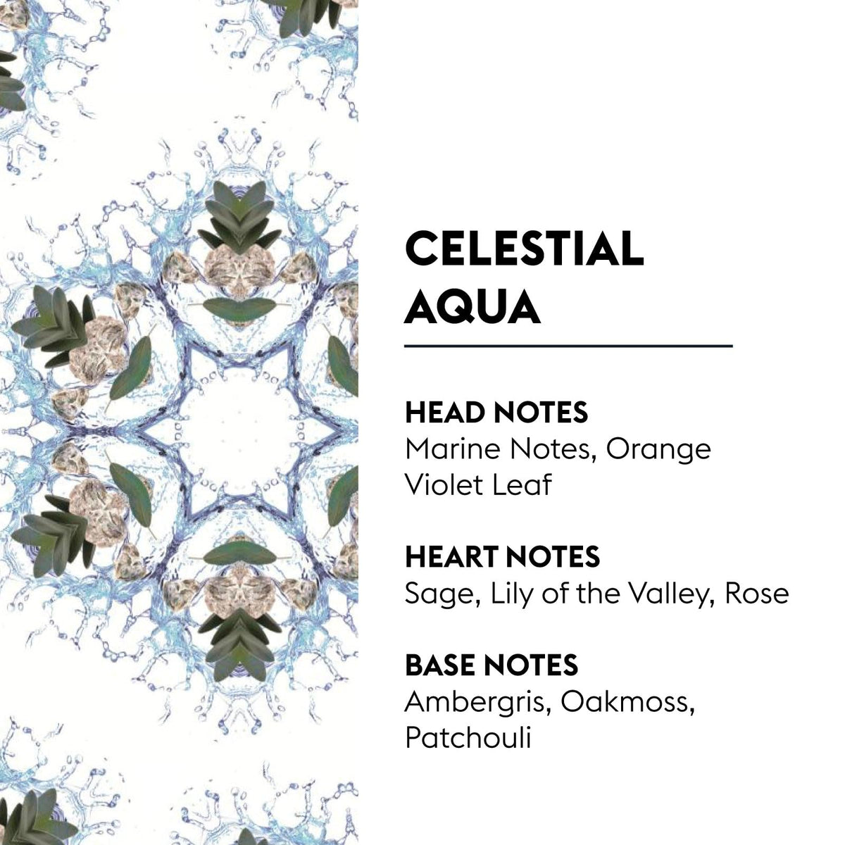 Maison Berger Celestial Aqua diffusion rings illustrate flameless fragrance in a calm room