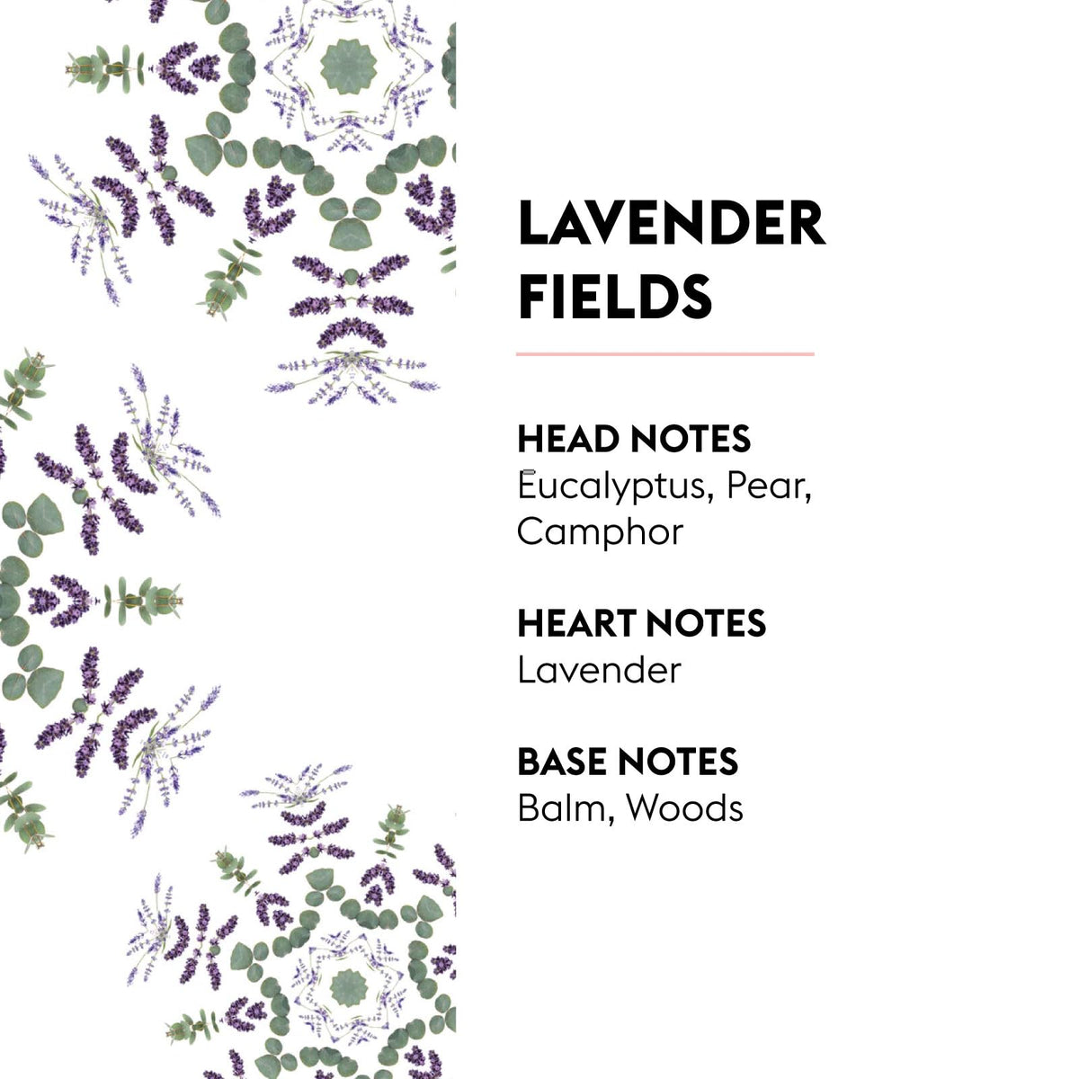 Close-up of Lavender Fields scent blend highlighting lavender and eucalyptus notes.