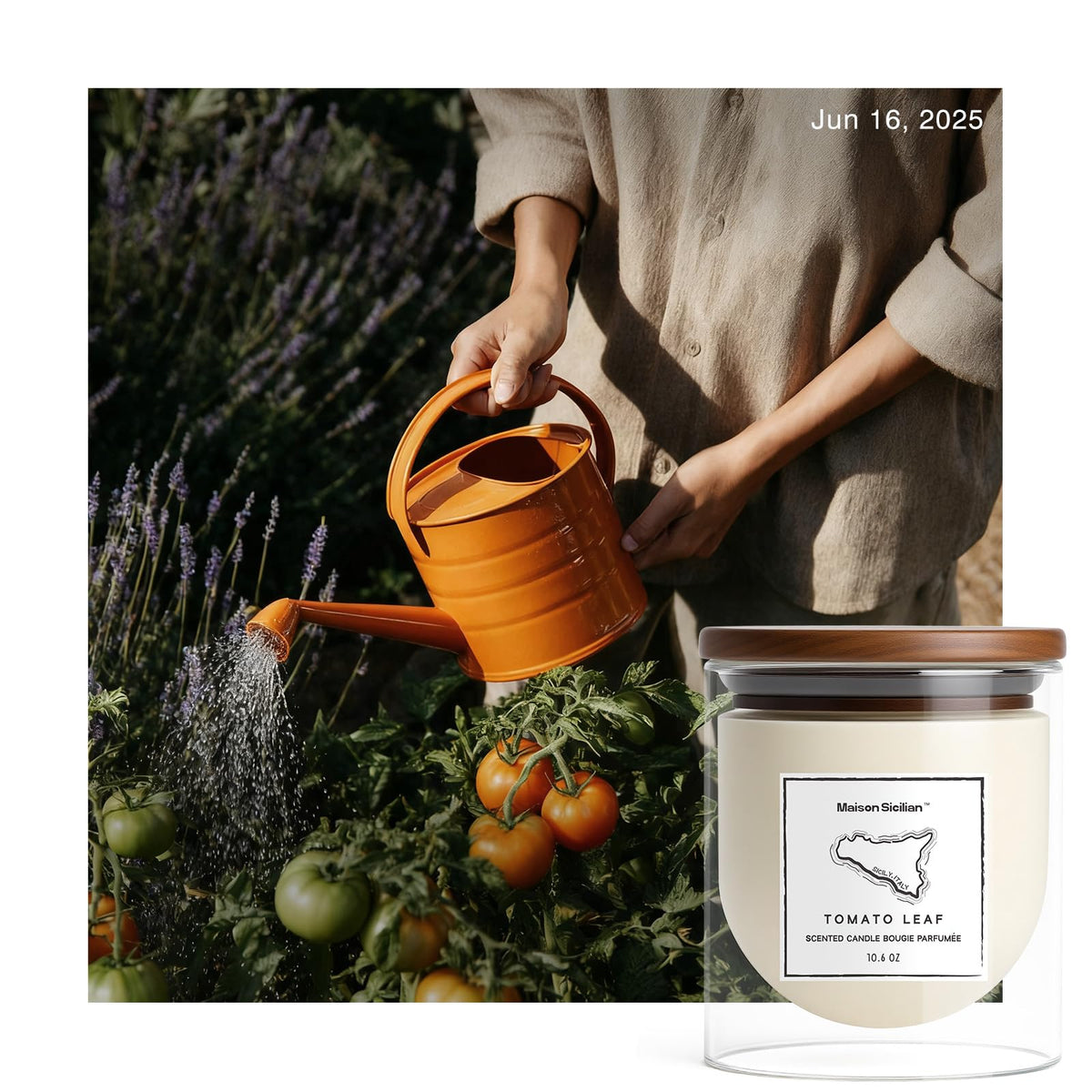 Maison Sicilian Tomato Leaf Candle wax closeup reveals soy-based formula.