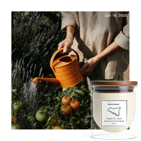 Maison Sicilian Tomato Leaf Candle wax closeup reveals soy-based formula.