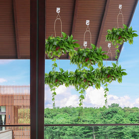 MAKALONE drop ceiling hooks feature durable white enamel coating resist rust.