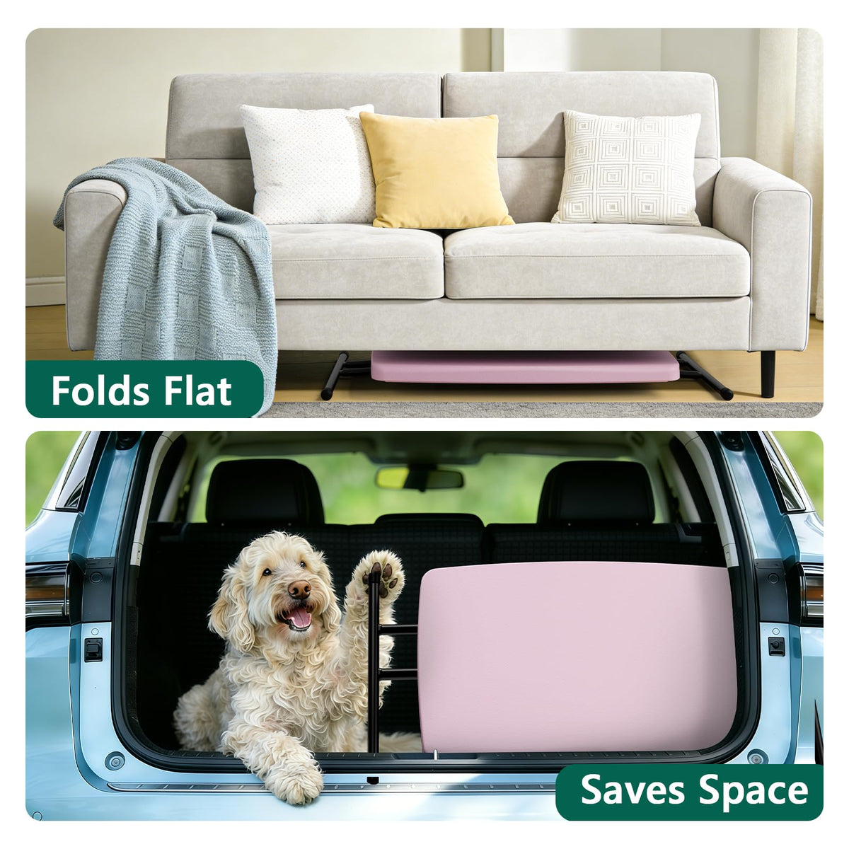 Lightweight at 10.25 lbs for easy transport between rooms.